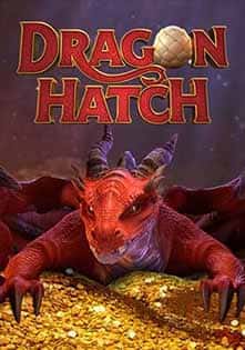 dragon hatch